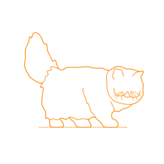 Animals Cats Himalayan Cat Icon Svg Vector, Free Vectors File